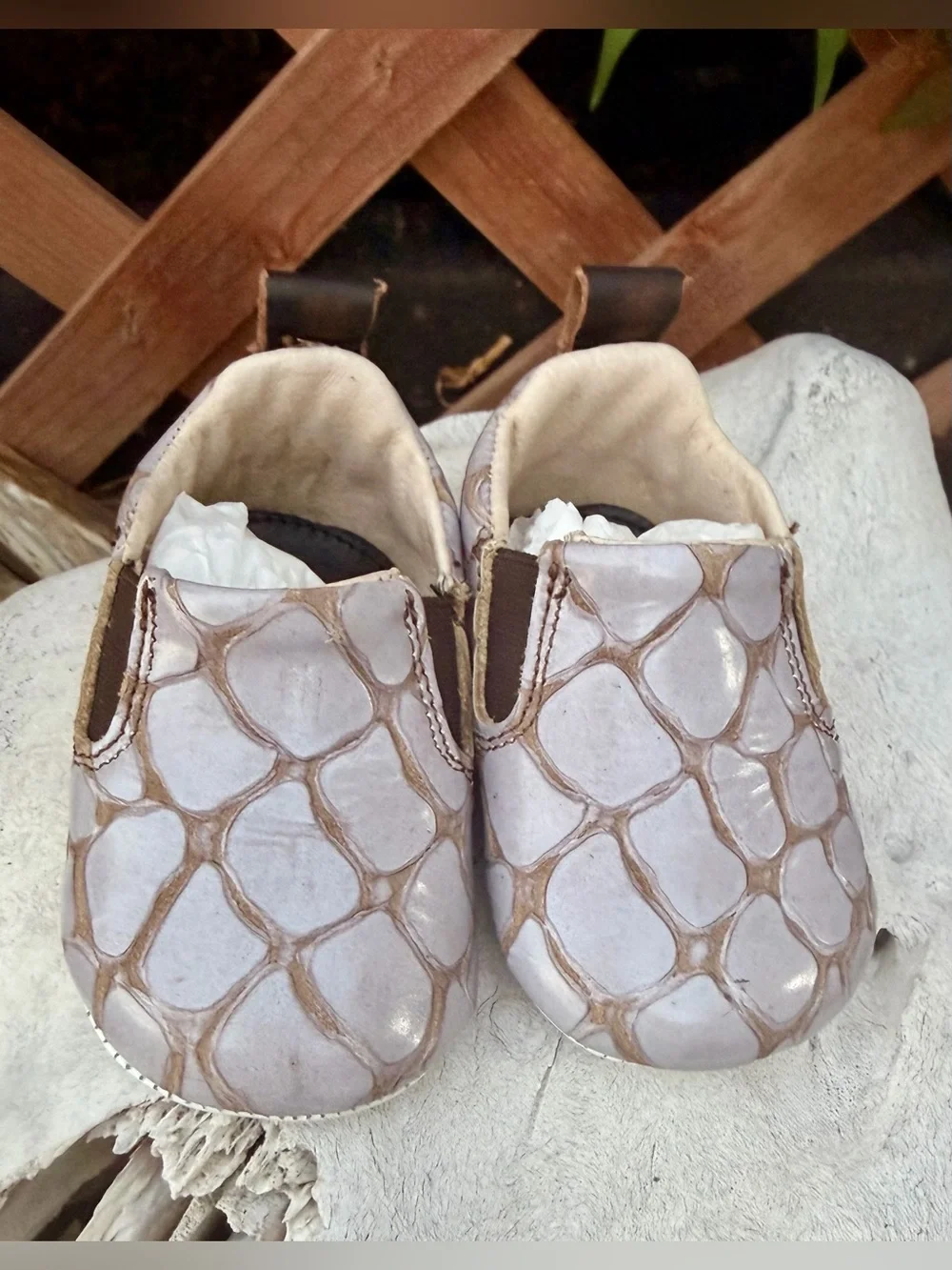 FREEBIRD Baby Leather Reptile Print Shoes 3-6M NEW